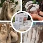 SET DE FAMILIE ⇛ 1 STATUETĂ DE 5-6 MÂINI, CU BOWL